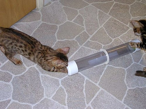 Lancelot Hey Merlin wheres the ball